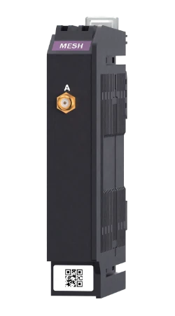 Wireless mesh module